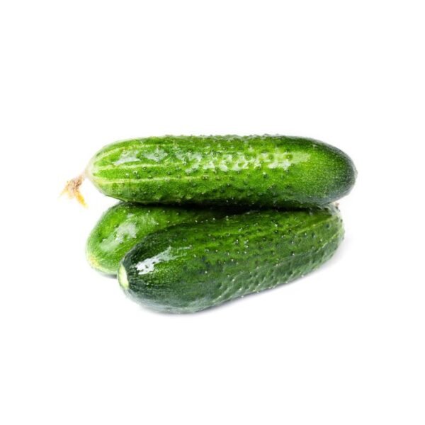ककड़ी – Cucumber