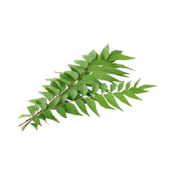 कढ़ी पत्ता – Curry Leaves