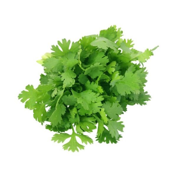 धनिया पत्ता – Coriander Leaves