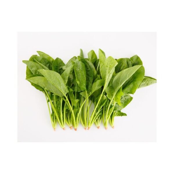 पालक – Spinach