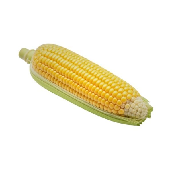 मक्का – Corn