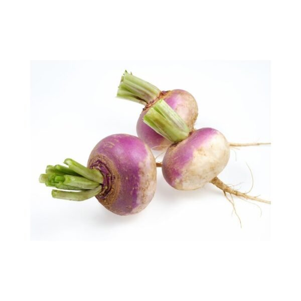 शलजम – Turnip
