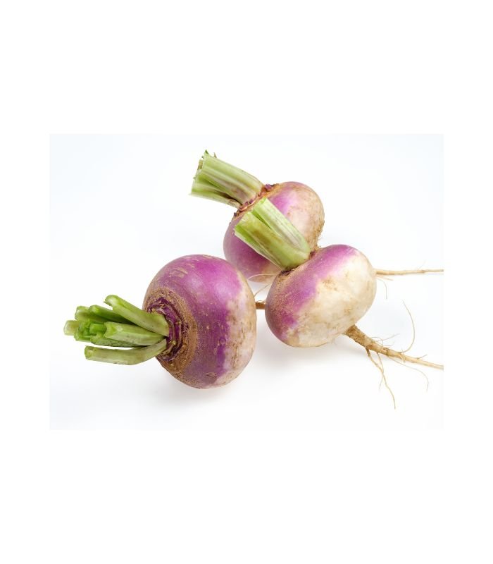 शलजम – Turnip