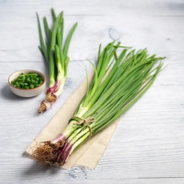 हरा प्याज़ – Green Onion