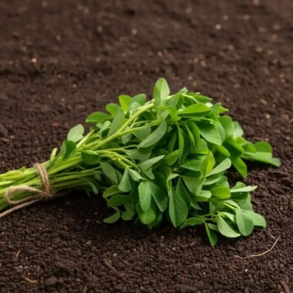 मेथी – Fenugreek Leaves