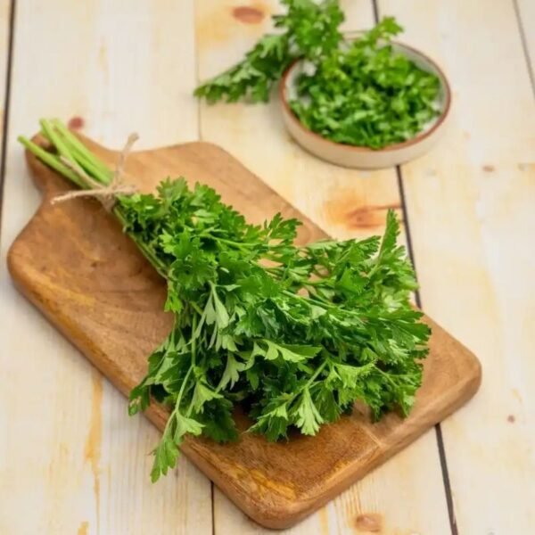 धनिया पत्ता – Coriander Leaves