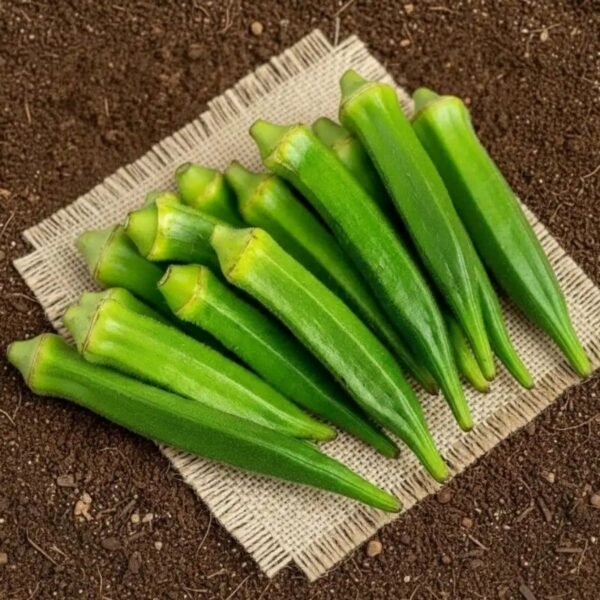 भिंडी – Lady Finger / Okra