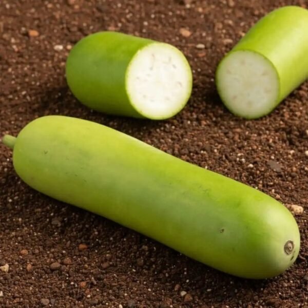 लौकी – Bottle Gourd