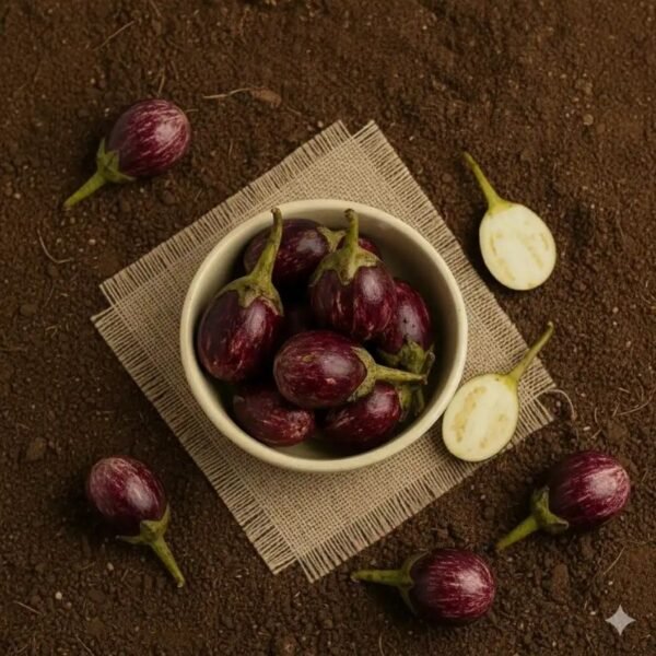 बैंगन – Brinjal (Eggplant)